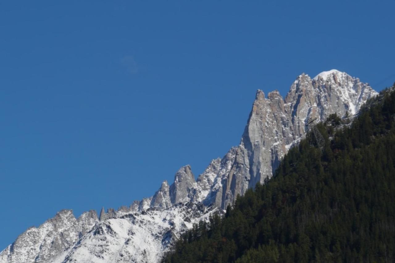 Modern Chalet With Garden Chamonix ภายนอก รูปภาพ
