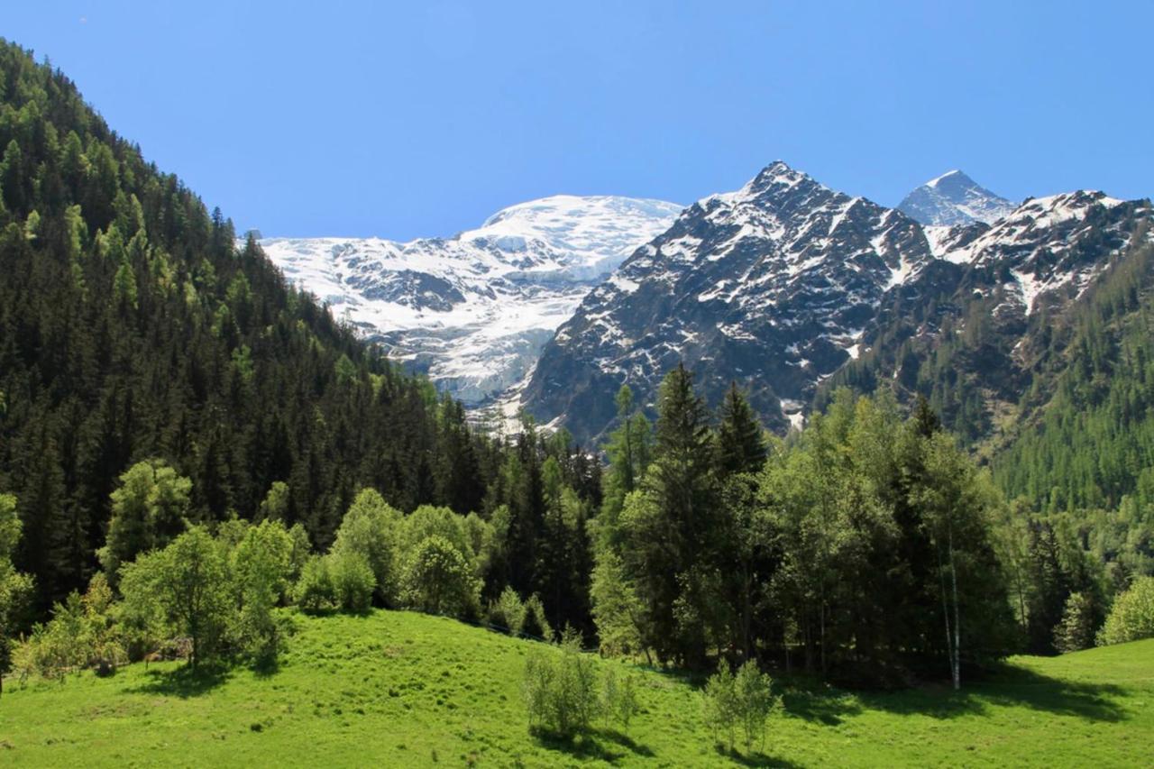 Modern Chalet With Garden Chamonix ภายนอก รูปภาพ